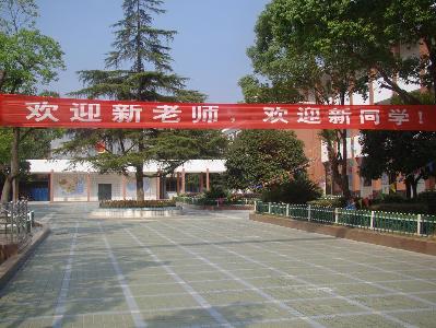 点击查看原图
